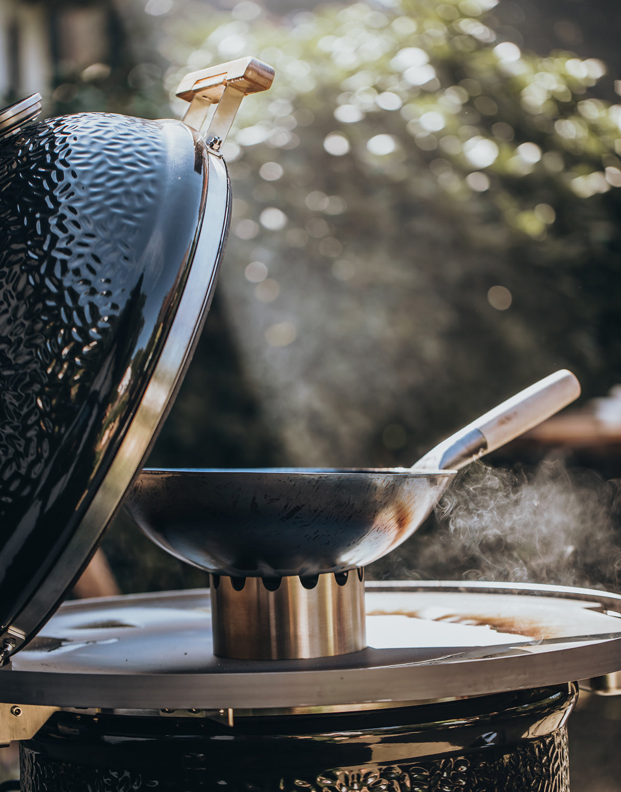 Placa de fuego .66 (LeCHEF)