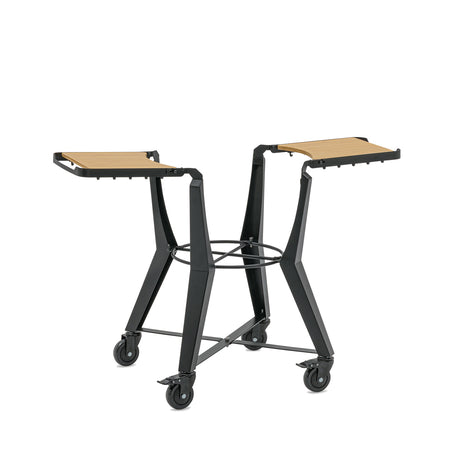 Frame set TWO.55 (CLASSIC)